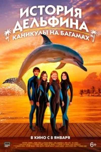  История дельфина: Каникулы на Багамах  смотреть онлайн смотреть онлайн бесплатно в хорошем качестве лордфильм